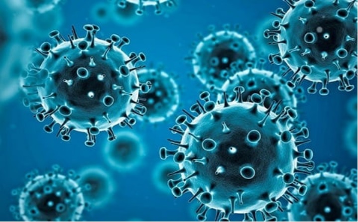 Virus Corona. Foto dokumentasi: website World Health Organization
