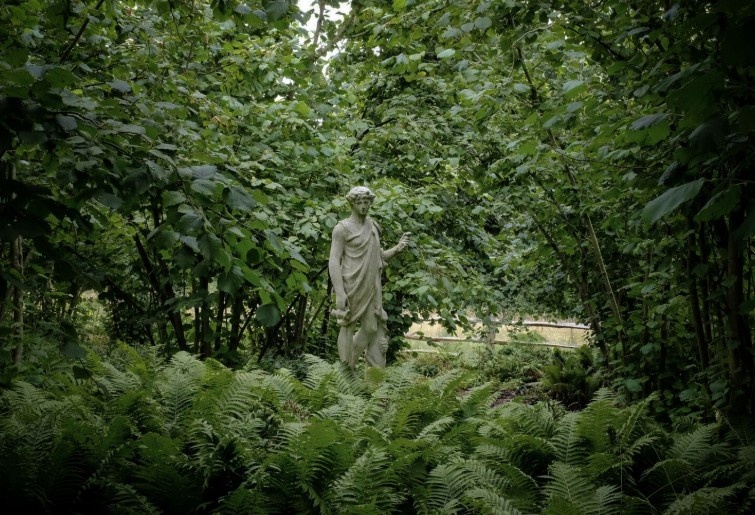 Mengurai Rencana Pemulihan dalam Gugatan Perkara Perdata Lingkungan Hidup